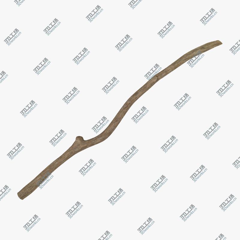 images/goods_img/202105071/Twigs and Sticks/3.jpg